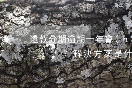 還款分期逾期一年會(huì)被通緝嗎？解決方案是什么？